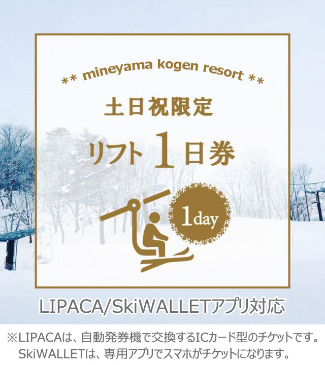 【キッズパークも入場できる!】　1番お得な【公式限定　土日祝1日券(ナイター可)】