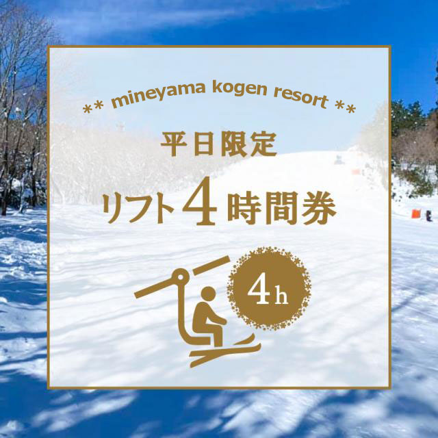 【キッズパークも入場できる】　短時間でもお得な【公式限定　平日4時間券】