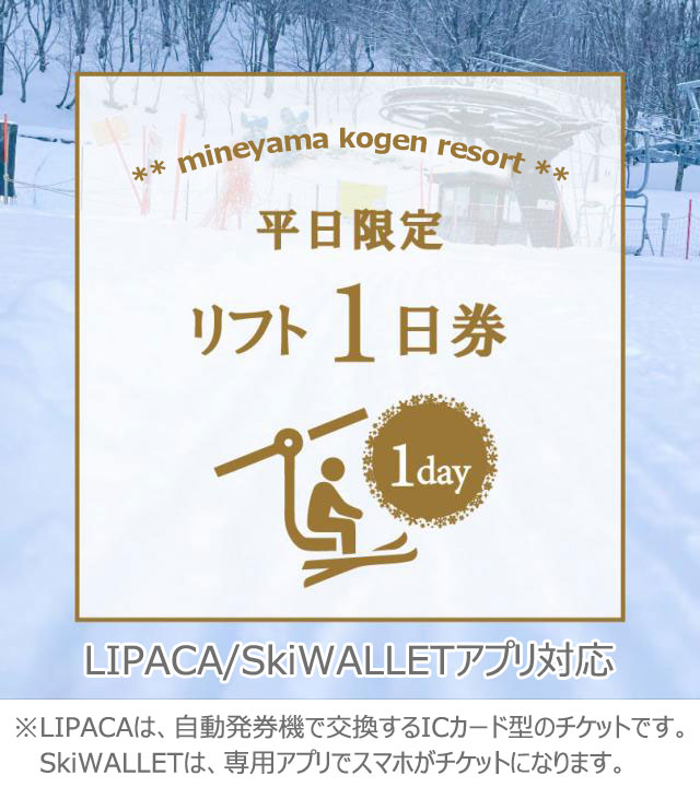 【キッズパークも入場できる】　1番お得!【公式限定　平日1日券(ナイター可)】